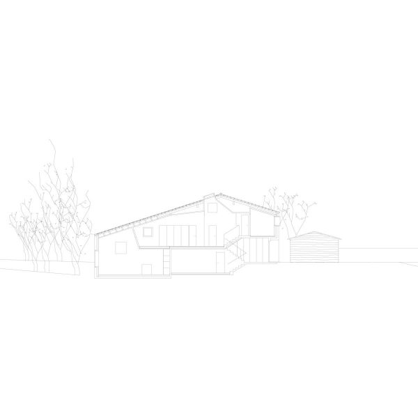 Stine - 6